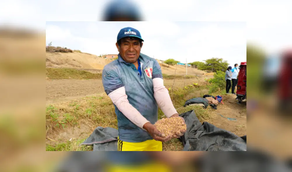 El dirigente manifestó que la campaña arrocera dejará pérdidas económicas. Foto: Junta de Usuarios