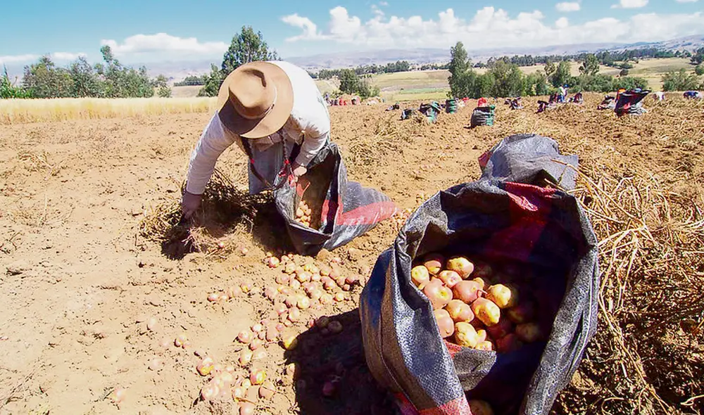 Crítico. Sin reglamento, ley de cooperativas es letra muerta. Foto: difusión
