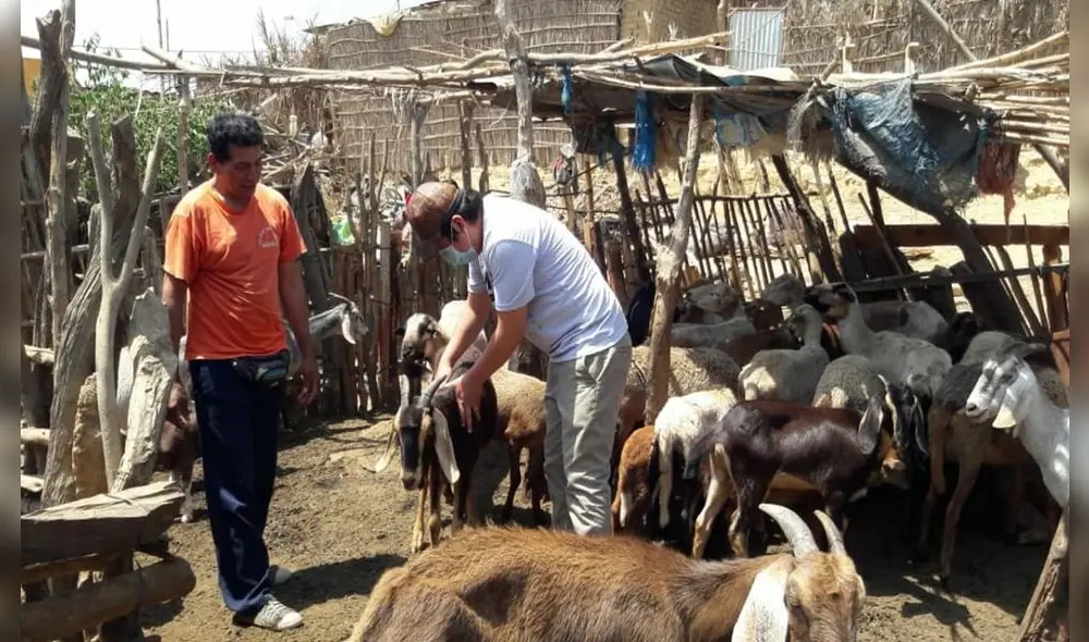 Especialistas capacitan a productores pecuarios en crianza de ganado. Foto: La República.