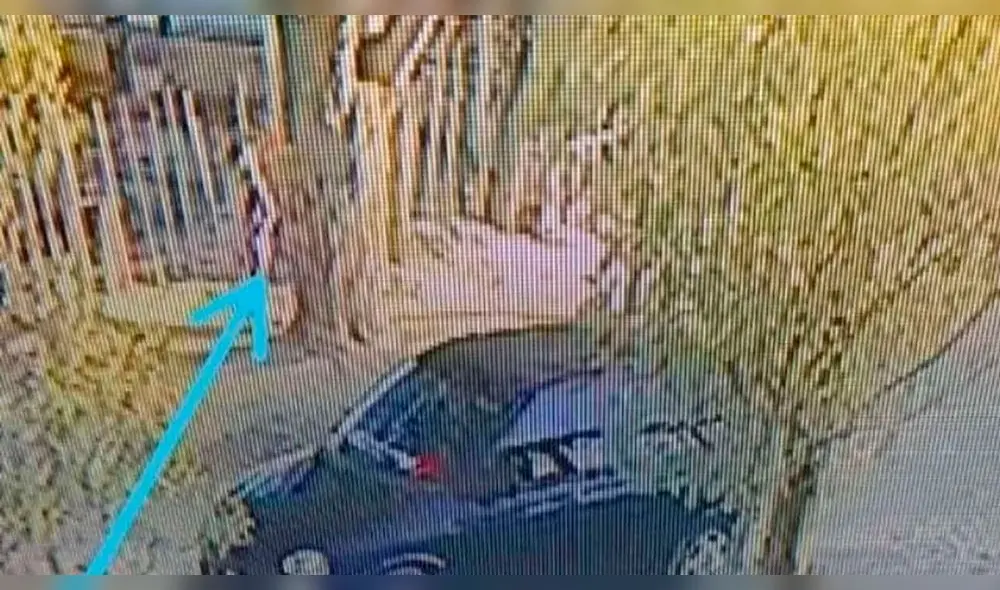 Un policía secuestró a una niña de 5 años en Argentina. Foto: ADNSur Un policía secuestró a una niña de 5 años en Argentina. Foto: ADNSur