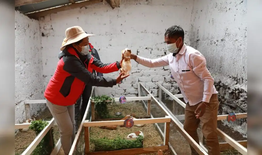 El Midis también precisó que como parte de Haku Wiñay en Huancavelica, están en marcha 1.217 emprendimientos rurales inclusivos. Foto: Midis