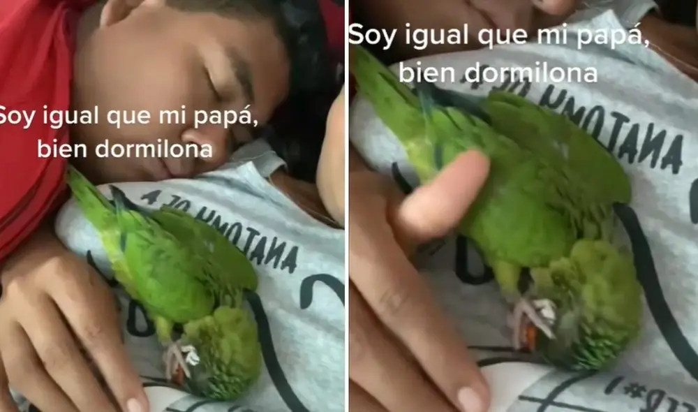 La viral escena compartida por @roka_maria_d_la_asuncion obtuvo millones de reproducciones en pocas horas. Foto: captura de TikTok