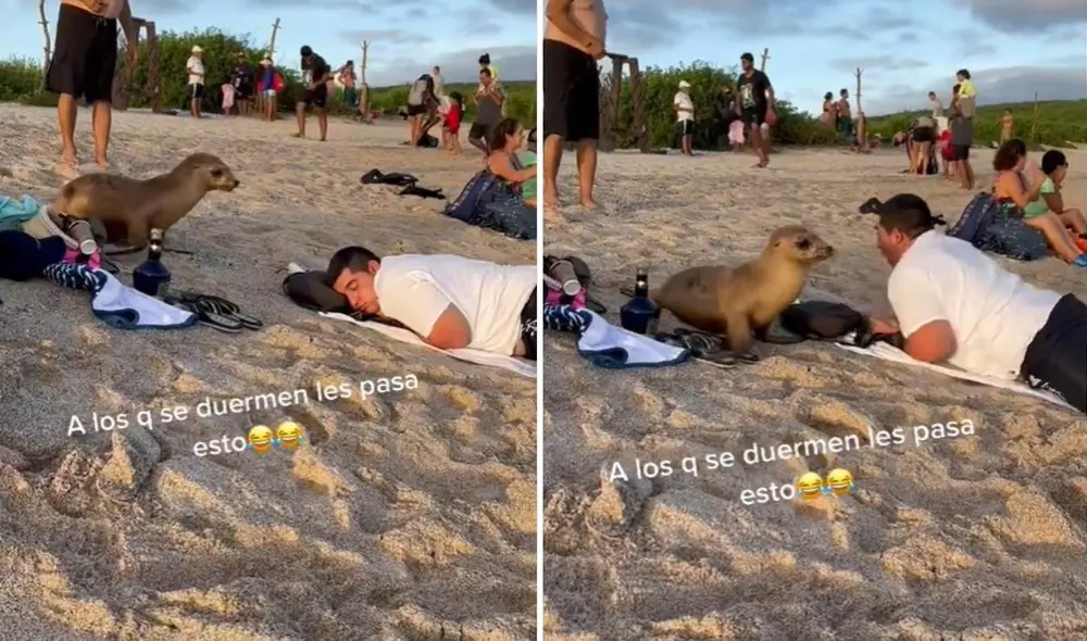 La viral escena compartida por @sandragarciagar logró obtener más de 4,3 millones de reproducciones, 339.000 'me gusta' y miles de comentarios. Foto: captura de Facebook