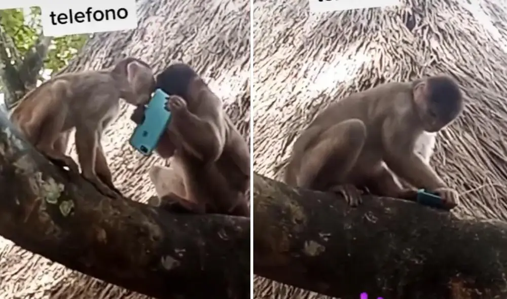 La viral escena compartida en redes por @mariabelen861 logró obtener millones de reproducciones y miles de reacciones en poco tiempo. Foto: captura de Facebook