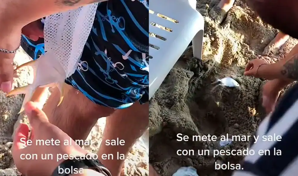 El pescado fue liberado con éxito y devuelto al mar. Foto: captura de TikTok El pescado fue liberado con éxito y devuelto al mar. Foto: captura de TikTok