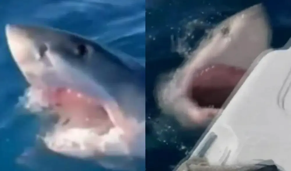 El clip se volvió viral en YouTube y otras redes sociales. Foto: YouTube.