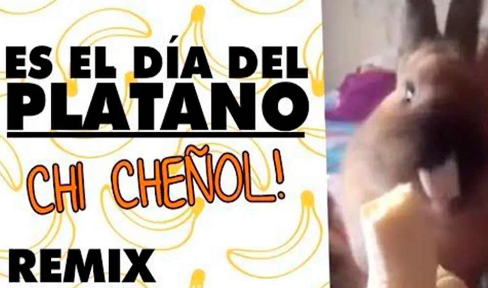 Luego de que una joven grabó un video con su conejo, un usuario aprovechó para lanzar una canción con su voz que conquistó a todos. Foto: Músicos cínicos