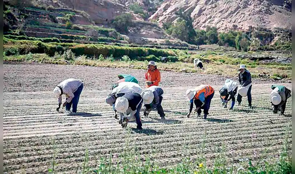 Zona tiene 6500 hectáreas.