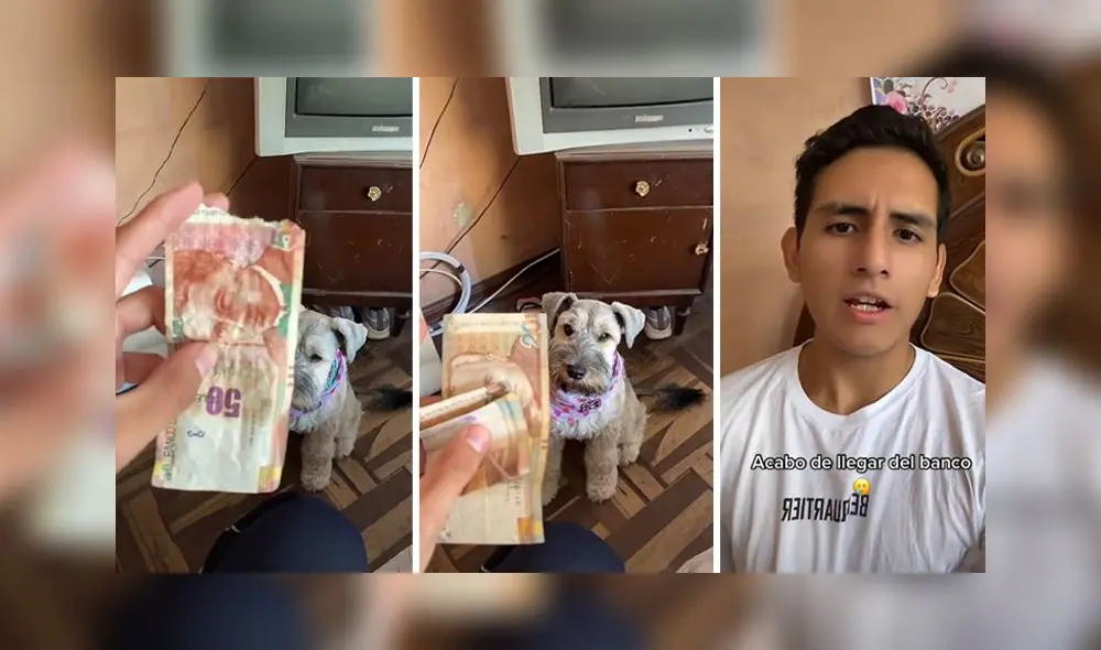 El clip consiguió más de 900.000 reproducciones en la red social. Foto: TikTok