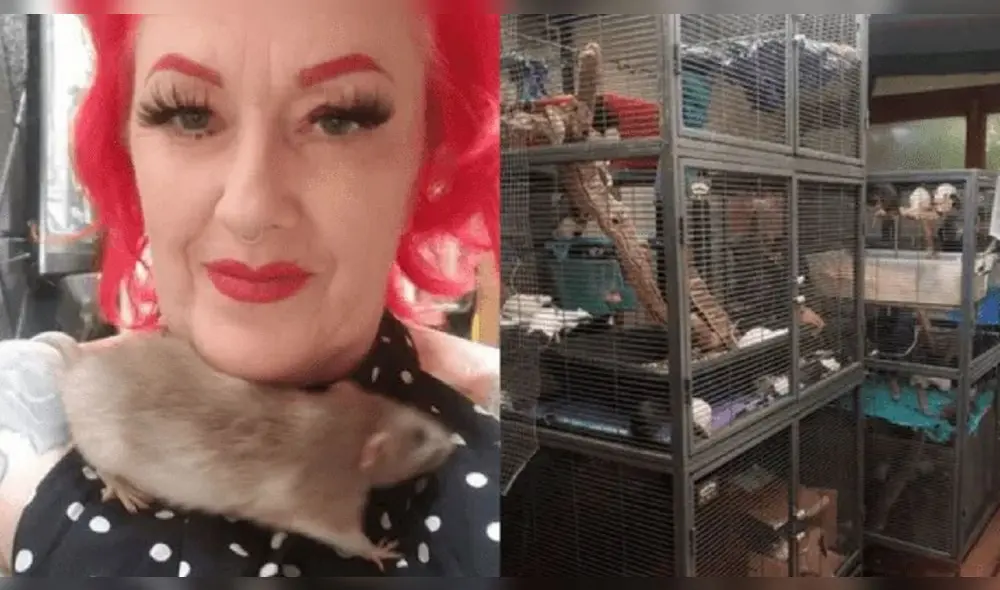 La mujer diseñó un pequeño hábitat para las ratas en su casa. Foto: Facebook/Michelle Raybon