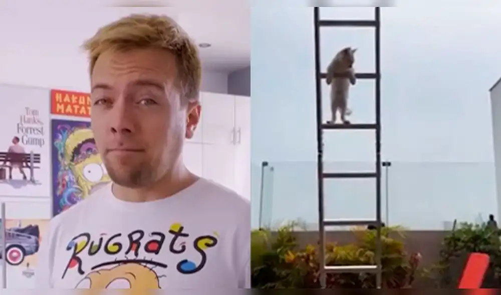 El pequeño Lingo se trepó a una de las escaleras de la casa de Julián Zucchi. Foto: composición/Instagram El pequeño Lingo se trepó a una de las escaleras de la casa de Julián Zucchi. Foto: composición/Instagram