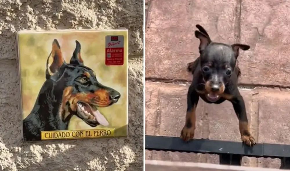 La viral escena compartida por @elmarquetesss logró obtener miles de reproducciones y reacciones en poco tiempo. Foto: captura de Facebook