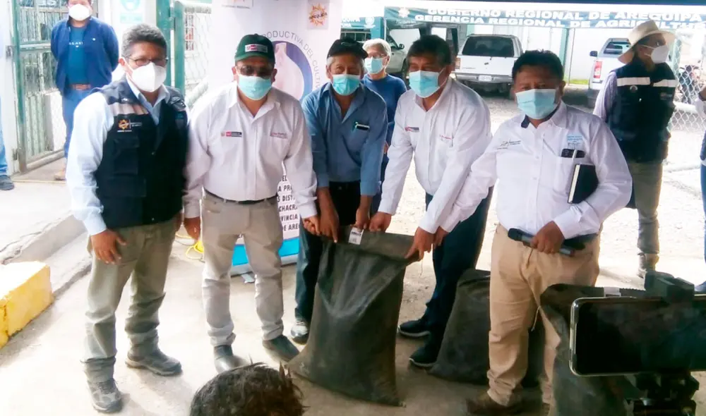 En el valle de Tambo se cultiva ajo, cebolla, papa, entre otros. Foto: Gerencia de Agricultura En el valle de Tambo se cultiva ajo, cebolla, papa, entre otros. Foto: Gerencia de Agricultura