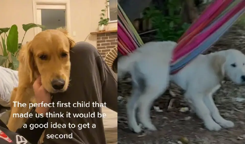 El video viral de TikTok cuenta con más de un millón de visualizaciones. Foto: captura de TikTok El video viral de TikTok cuenta con más de un millón de visualizaciones. Foto: captura de TikTok