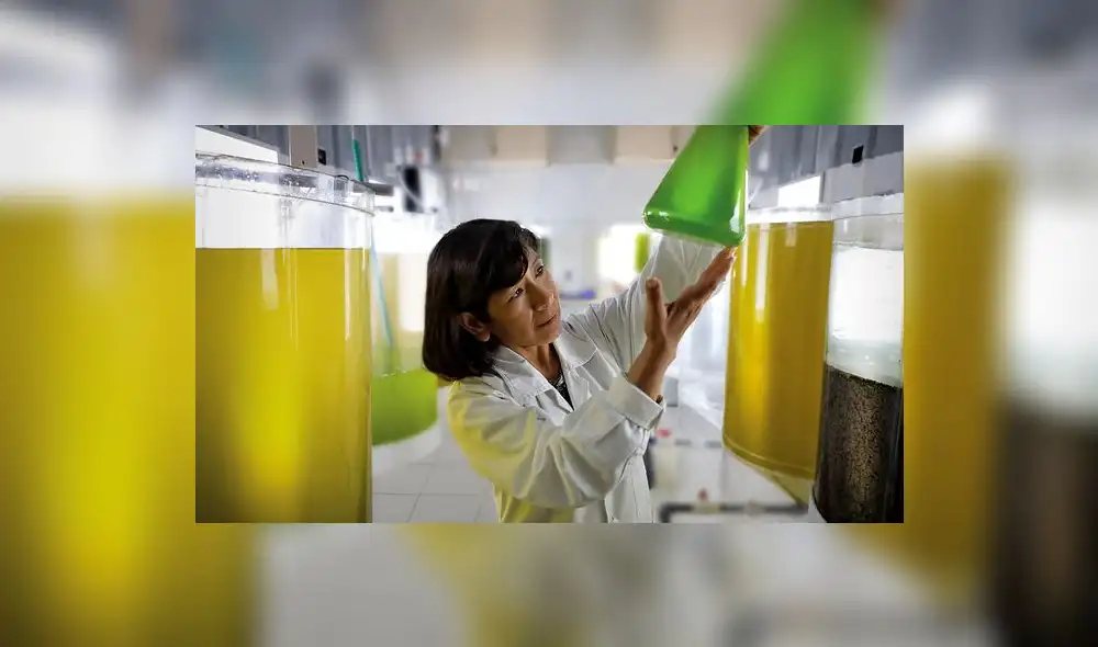 El seminario está dirigido a las comunidades científica, académica y empresarial. Foto: Produce