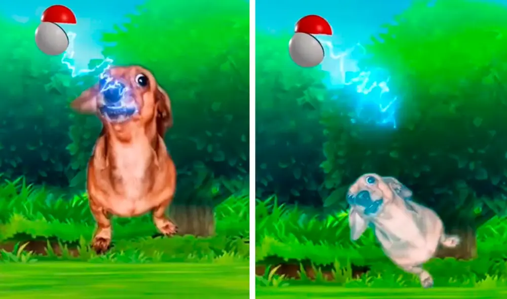 El clip obtuvo alrededor de 240.000 'me gusta'. Foto: captura de TikTok