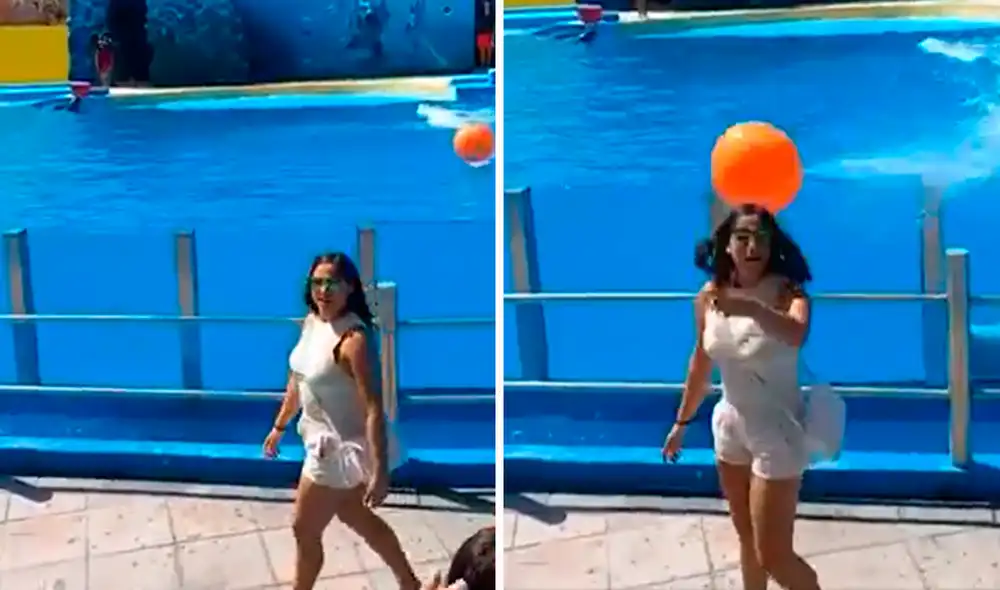 El delfín participaba en un espectáculo acuático cuando golpeó el balón. Foto: captura de TikTok El delfín participaba en un espectáculo acuático cuando golpeó el balón. Foto: captura de TikTok