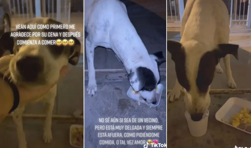 La viral escena compartida por @andreahdzh logró obtener más de 180.000 reproducciones en poco tiempo. Foto: captura de TikTok La viral escena compartida por @andreahdzh logró obtener más de 180.000 reproducciones en poco tiempo. Foto: captura de TikTok