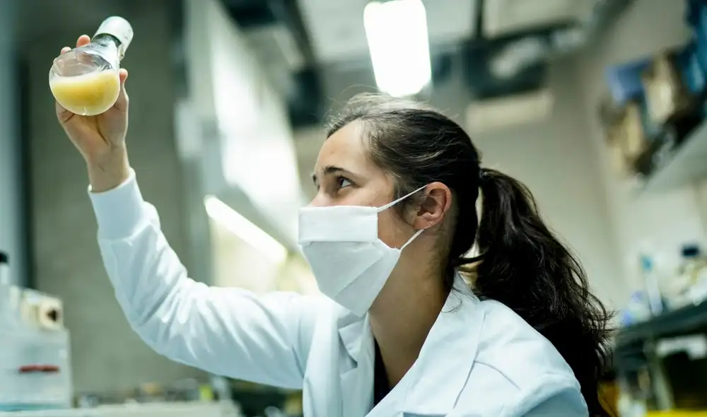 El anticuerpo es ahora un candidato a fármaco dirigido a células madre cancerosas de tumores para así prevenir la metástasis. Foto: AFP