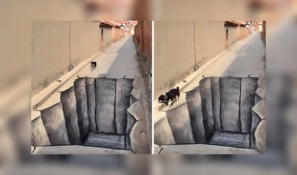 La grabación obtuvo más de 603.000 'me gusta' en la red social. Foto: captura de TikTok