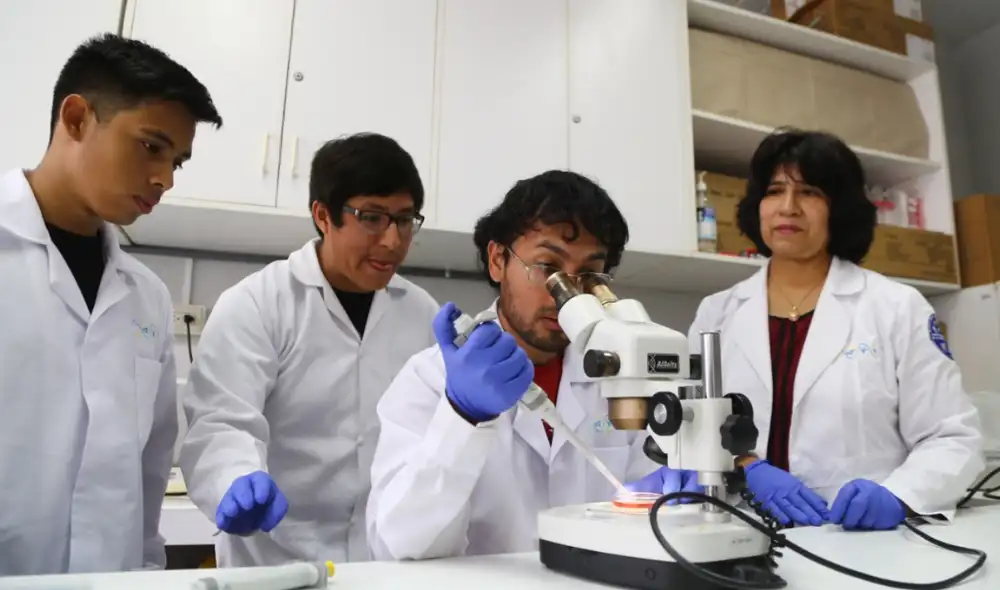 Rectora Jeri Ramón sostuvo que San Marcos podría firmar convenios con universidades de Francia, España, China y Corea. Foto: Michael Ramón/La República Rectora Jeri Ramón sostuvo que San Marcos podría firmar convenios con universidades de Francia, España, China y Corea. Foto: Michael Ramón/La República