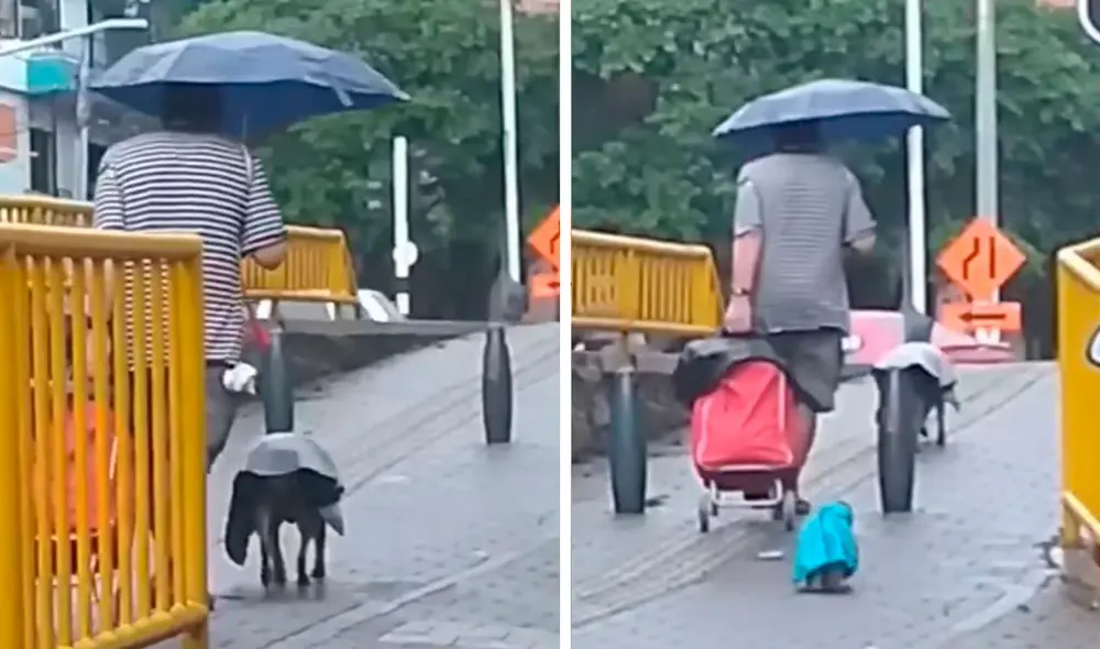 Ante la insistencia de sus canes por salir, el hombre compró unas prendas especiales para evitar que se enfermen o se caigan por el mal clima. Foto: captura de YouTube