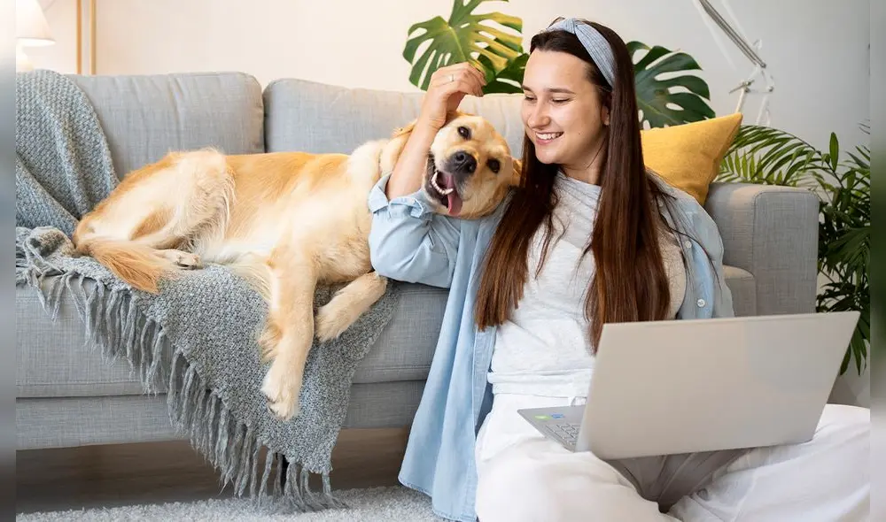 Descubre fáciles trucos para lograr eliminar el olor de tu perro en el hogar. Foto: Freepik