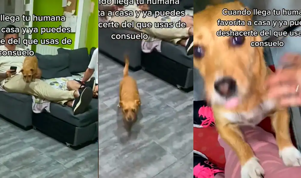 El video cuenta con más de 2 millones de visualizaciones. Foto: captura de TikTok