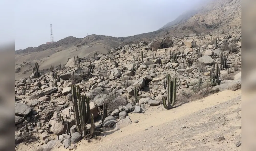El cerro Campana tiene belleza y misticismo en sus lomas. Foto: UNT