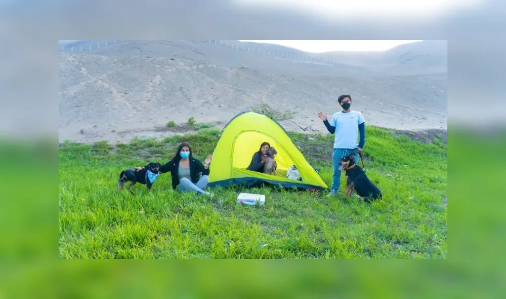 Feriado por el día del Trabajador. Foto: MML Feriado por el día del Trabajador. Foto: MML