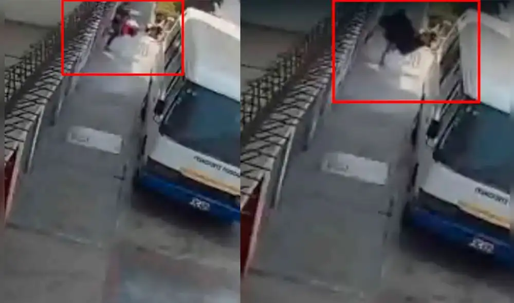 La agraviada, una modista de 70 años, había salido de compras cuando los delincuentes vaciaron su casa. Las joyas robadas eran herencia de sus padres y tenían un valor especial para ella. Foto: Capturas de cámaras de seguridad. La agraviada, una modista de 70 años, había salido de compras cuando los delincuentes vaciaron su casa. Las joyas robadas eran herencia de sus padres y tenían un valor especial para ella. Foto: Capturas de cámaras de seguridad.