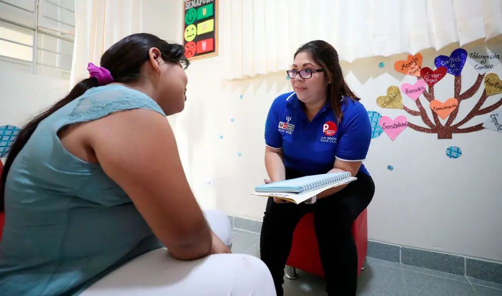 Las y los psicólogos velan por el bienestar mental y emocional de la población. Foto: Andina Las y los psicólogos velan por el bienestar mental y emocional de la población. Foto: Andina