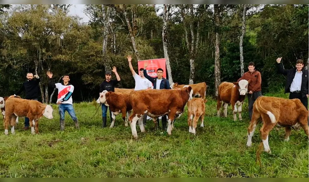 Pequeños ganaderos de escasos recursos se benefician con programa Jaén Lechero. Foto: MPJ Pequeños ganaderos de escasos recursos se benefician con programa Jaén Lechero. Foto: MPJ