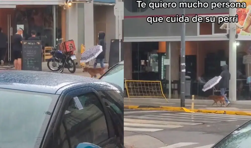 La joven emocionó a varios usuarios por preferir cuidar a su mascota y no a ella. Foto: captura de TikTok