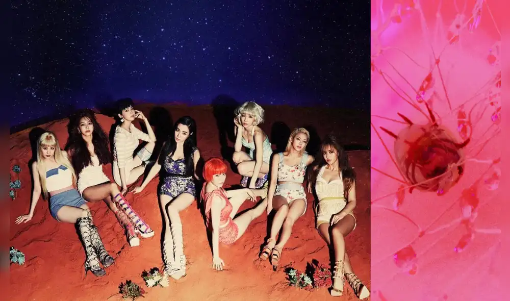 El girlgroup de Girls' Generation tiene cinco integrantes actualmente. Foto/composición/SM Entertainment