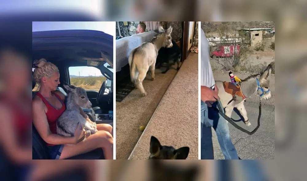 Walter posee más de 360.000 seguidores en Facebook. Foto: captura de Facebook