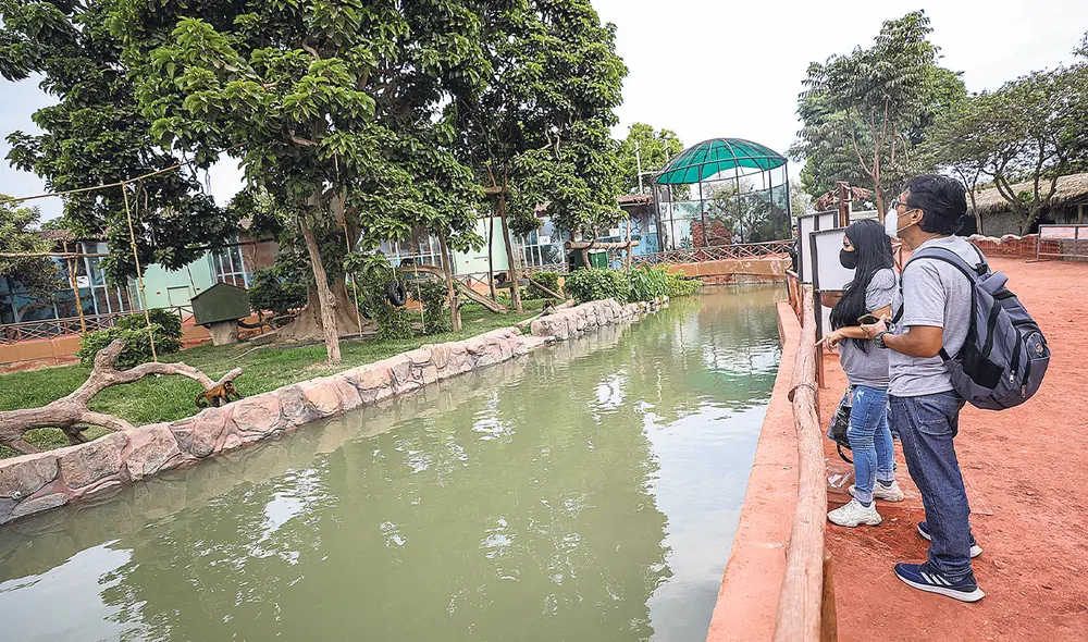 Al aire libre. Grandes y chicos podrán visitar los parques zonales de Lima. En algunos incluso se podrá acampar en familia. Foto: difusión