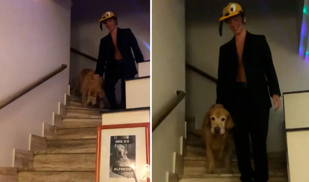 Las divertidas imágenes se volvieron tendencia en varias redes sociales. Foto: captura/ TikTok