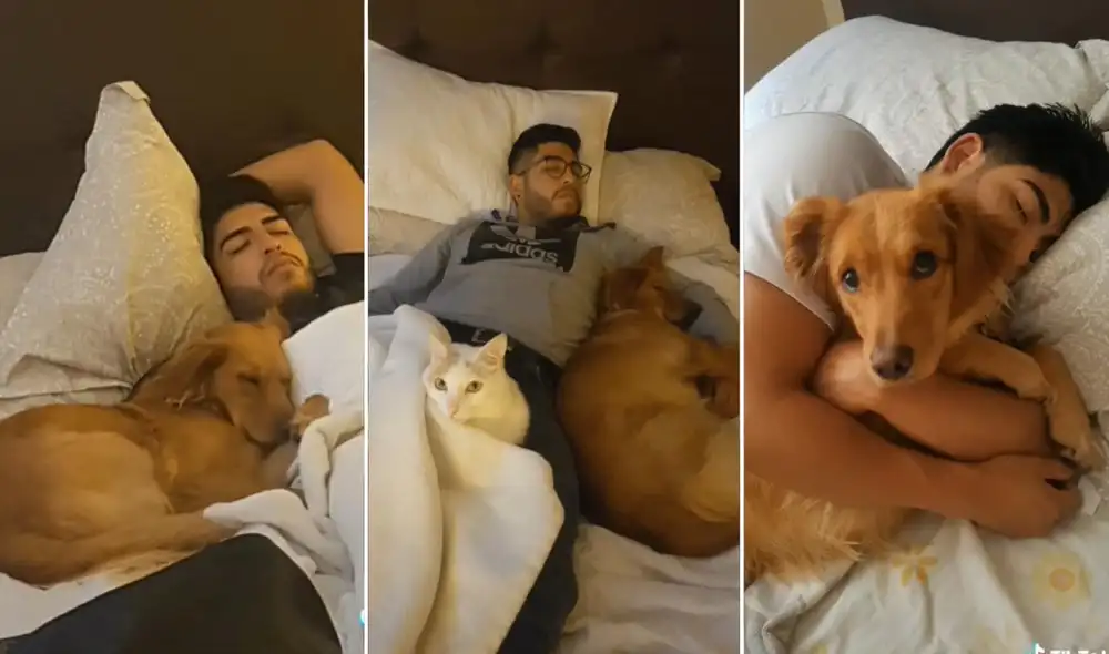 La viral escena compartida en redes por Karen Nicole (@knandrade_) logró obtener millones de reproducciones y miles de reacciones en poco tiempo. Foto: captura de TikTok