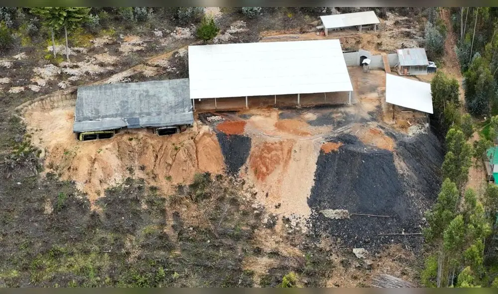 Bosque cerca del cerro El Toro esconde socavones ilegales. Foto: cortesía