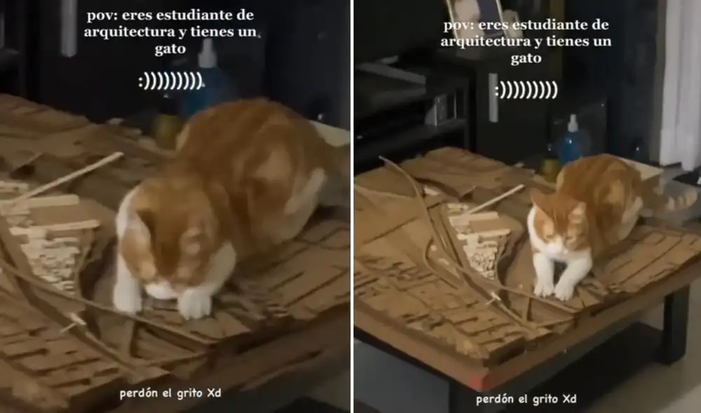 La viral escena compartida por Elliane (@eillean) logró obtener miles de reproducciones y reacciones en poco tiempo. Foto: captura de TikTok La viral escena compartida por Elliane (@eillean) logró obtener miles de reproducciones y reacciones en poco tiempo. Foto: captura de TikTok