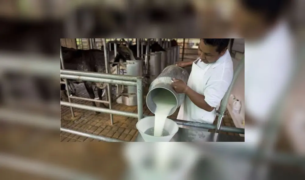 El Midagri aprobó que la suspensión se diese hasta el 31 diciembre del 2026. Foto: difusión