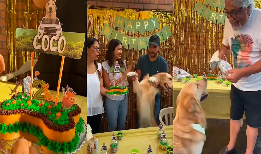 La grandiosa fiesta de cumpleaños de este perrito logró volverse tendencia en redes sociales. Foto: captura de TikTok