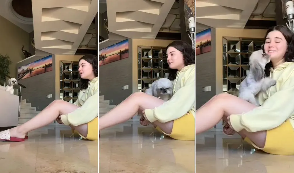 La viral escena compartida por Sofía (@sofia.bntzf) logró obtener más de 16.2 millones de reproducciones y miles reacciones. Foto: captura de Facebook La viral escena compartida por Sofía (@sofia.bntzf) logró obtener más de 16.2 millones de reproducciones y miles reacciones. Foto: captura de Facebook