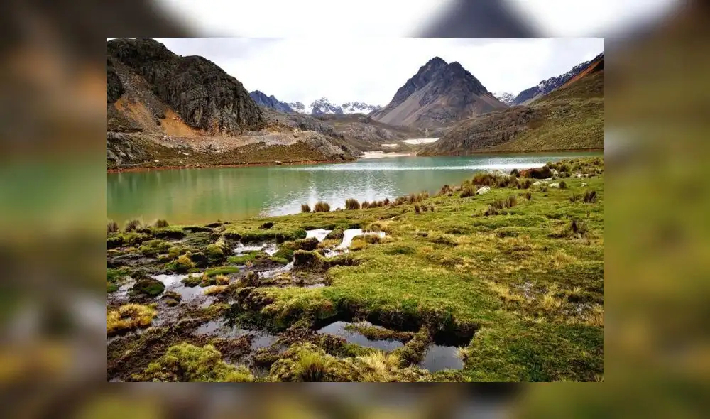 El Midagri promueve inversiones públicas y privadas para el uso eficiente del agua a nivel parcelario, señaló Zea. Foto: SPDA