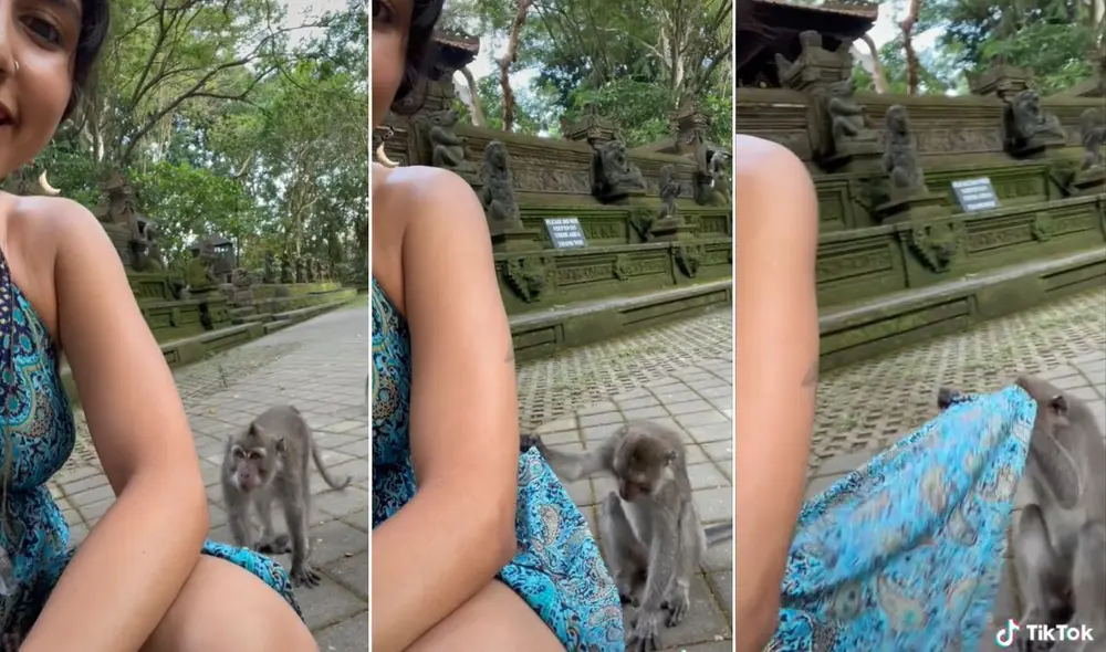 La viral escena compartida por Jen (@xoxozennnifer) logró obtener millones de reproducciones en poco tiempo. Foto:  captura de TikTok