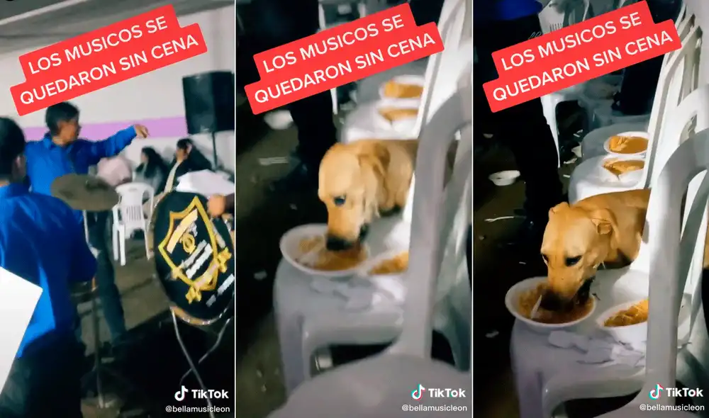El perrito no lo pensó dos veces y aprovechó para comer todo lo que pudo. Foto: captura de TikTok El perrito no lo pensó dos veces y aprovechó para comer todo lo que pudo. Foto: captura de TikTok