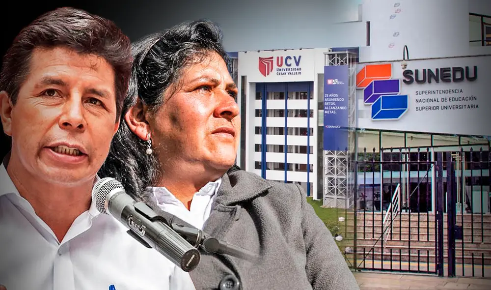 Lilia Paredes y Pedro Castillo habrían plagiado hasta un 54% de sus tesis en la Universidad César Vallejo. Foto: composición de Fabrizio Oviedo/La República Lilia Paredes y Pedro Castillo habrían plagiado hasta un 54% de sus tesis en la Universidad César Vallejo. Foto: composición de Fabrizio Oviedo/La República