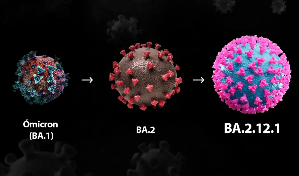 La familia ómicron siempre ha preocupado a los científicos por su capacidad de evadir la inmunidad de las vacunas y por ser más transmisible que variantes predecesoras. Foto: composición Jazmín Ceras / La República