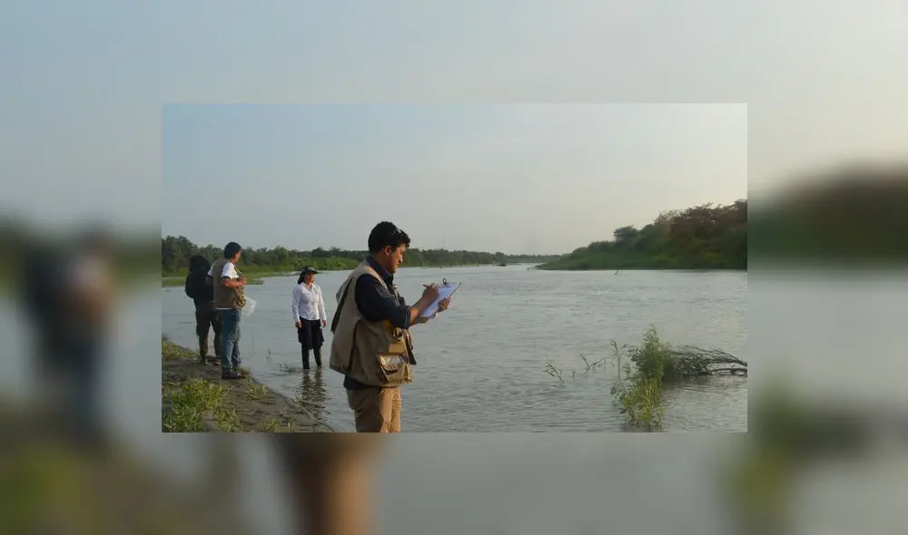 Esta no es la primera vez que se estudian las aguas del río Tumbes debido a la contaminación. Foto: Difusión